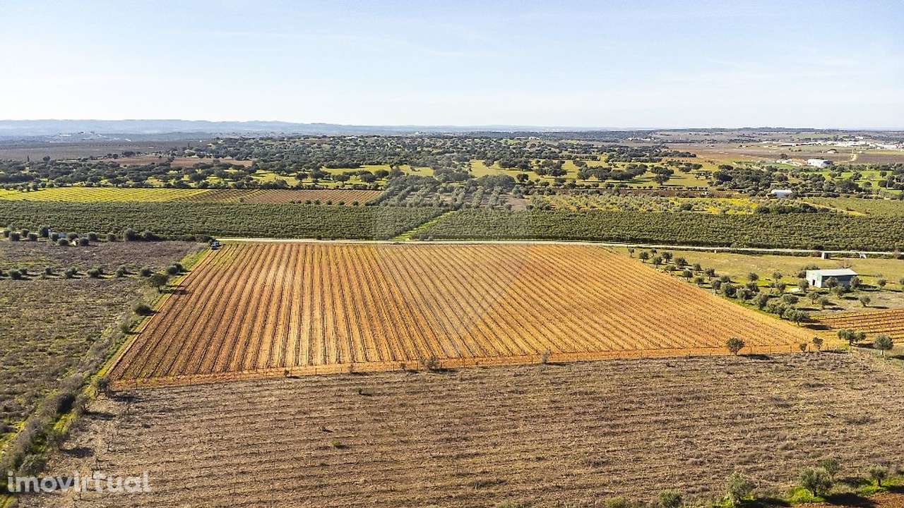 Terreno  para venda - Grande imagem: 4/50