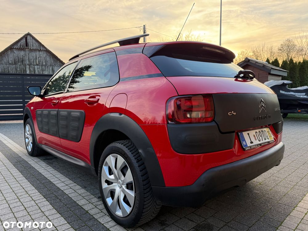 Citroën C4 Cactus PureTech 82 Shine Edition - 13