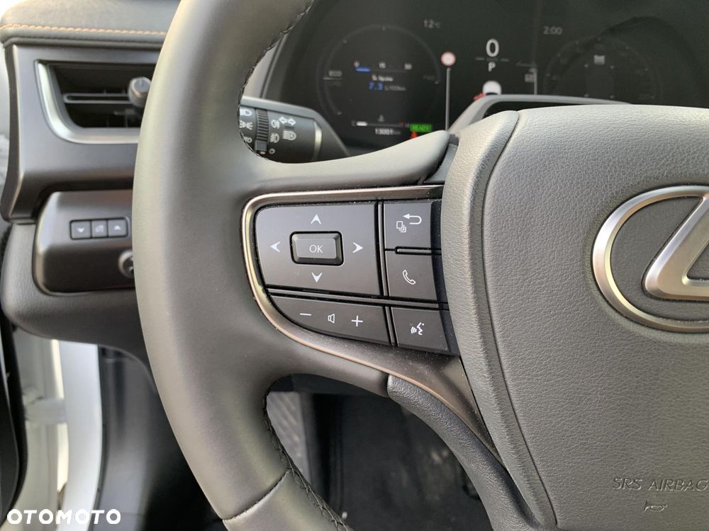 Lexus UX 300h F Sport Design - 19