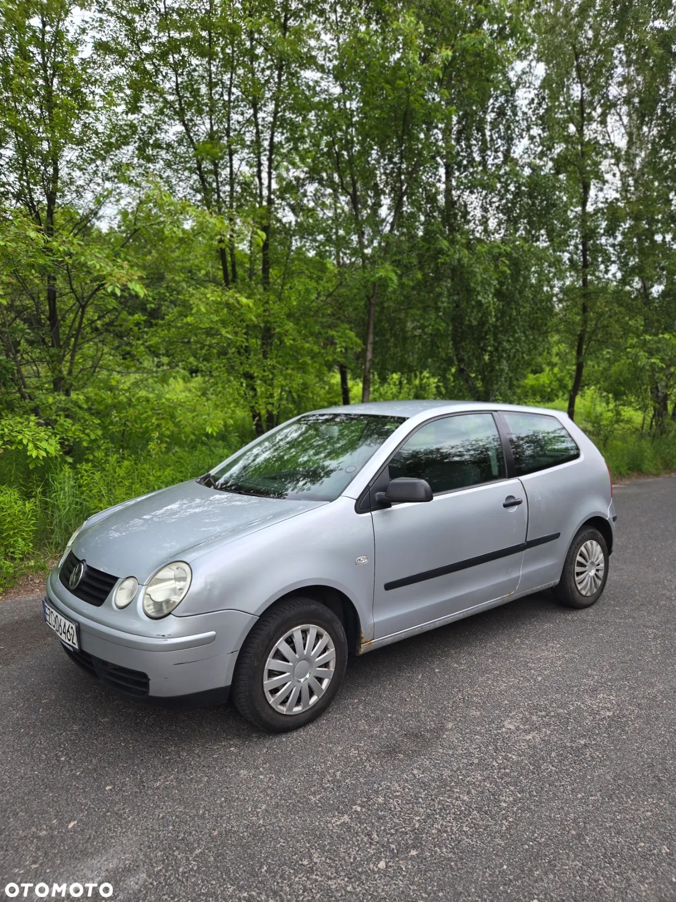 Volkswagen Polo - 1