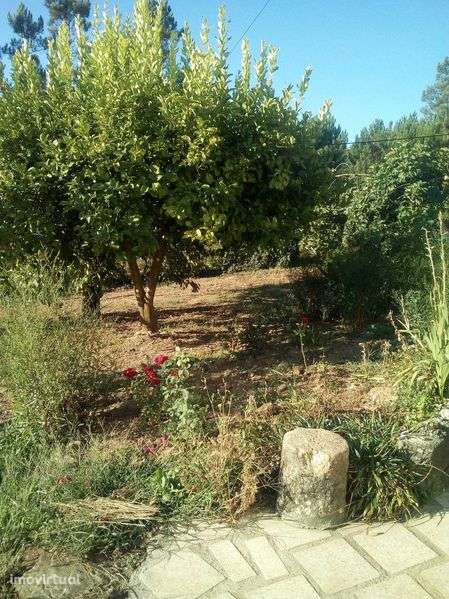 Quinta e roseiral á venda - Grande imagem: 4/4