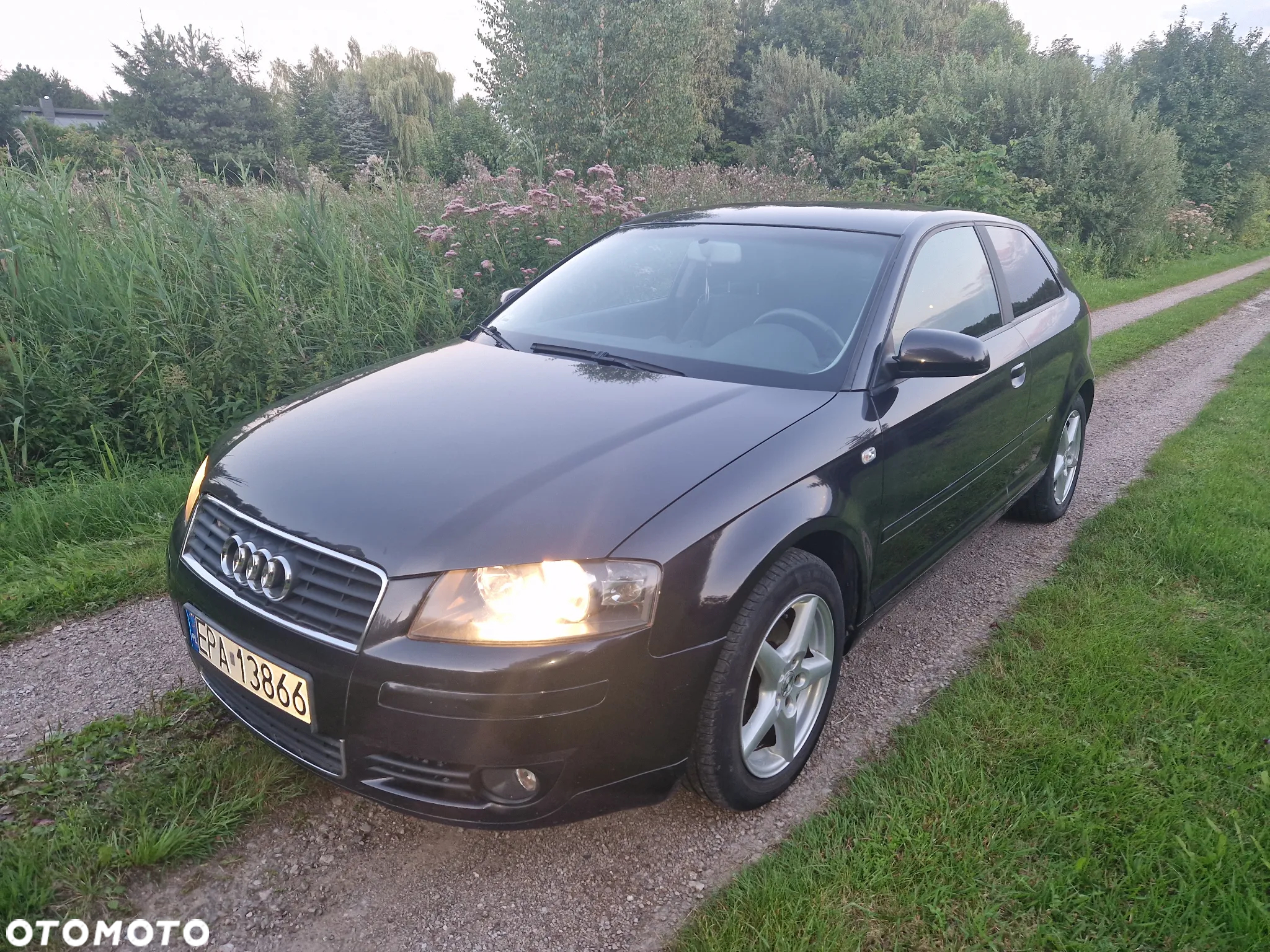 Audi A3 1.6 Attraction - 22