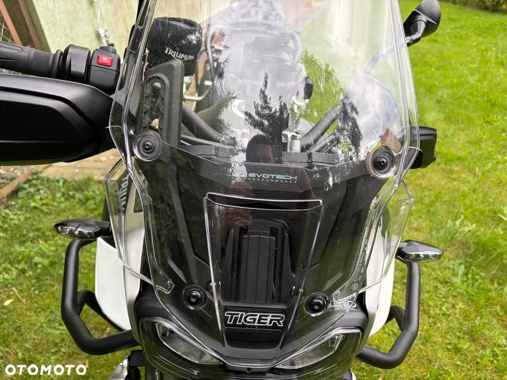 Triumph Tiger - 14