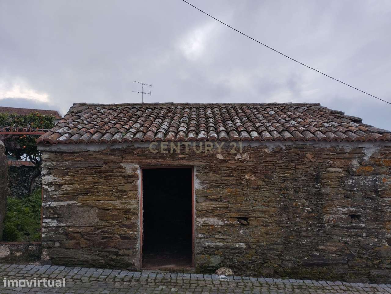 Refúgio nos Amarelos, Castelo Branco - Grande imagem: 2/16