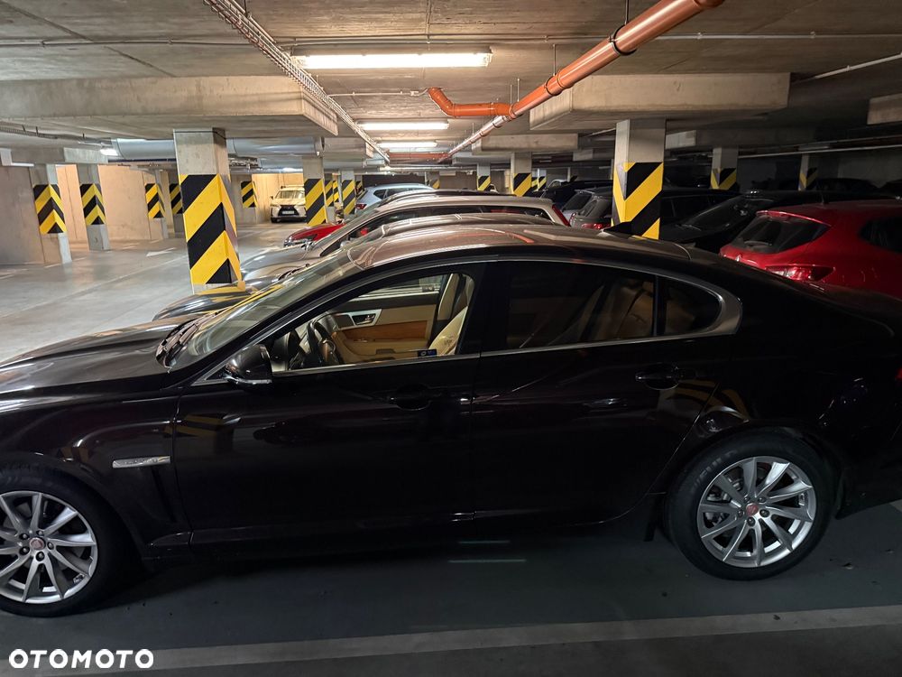 Jaguar XF 2.2 D Luxury - 2