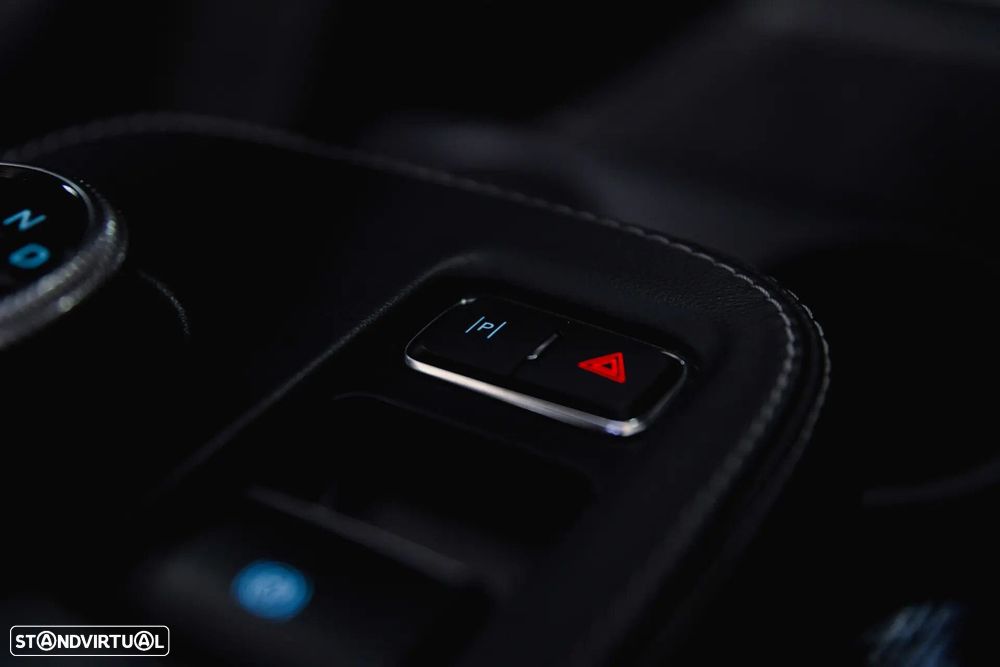 Ford Mustang Mach-E Standard - 20