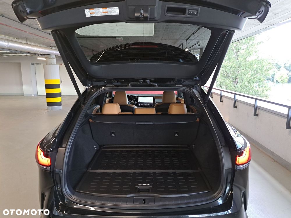 Lexus RX - 10