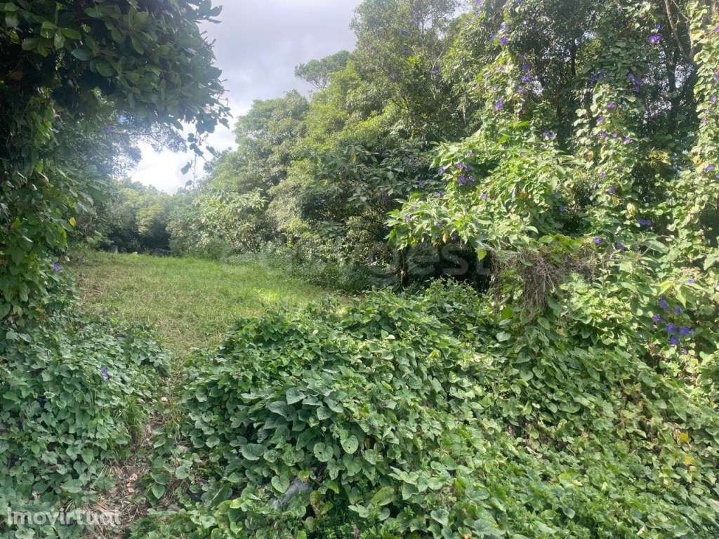 Terreno Rústico com 484 m² - Porto Martins, Terceira - Grande imagem: 4/20