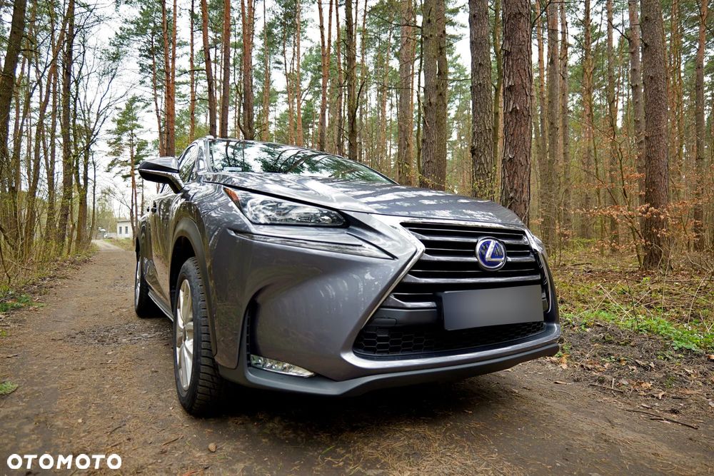 Lexus NX 300h Elegance AWD - 5