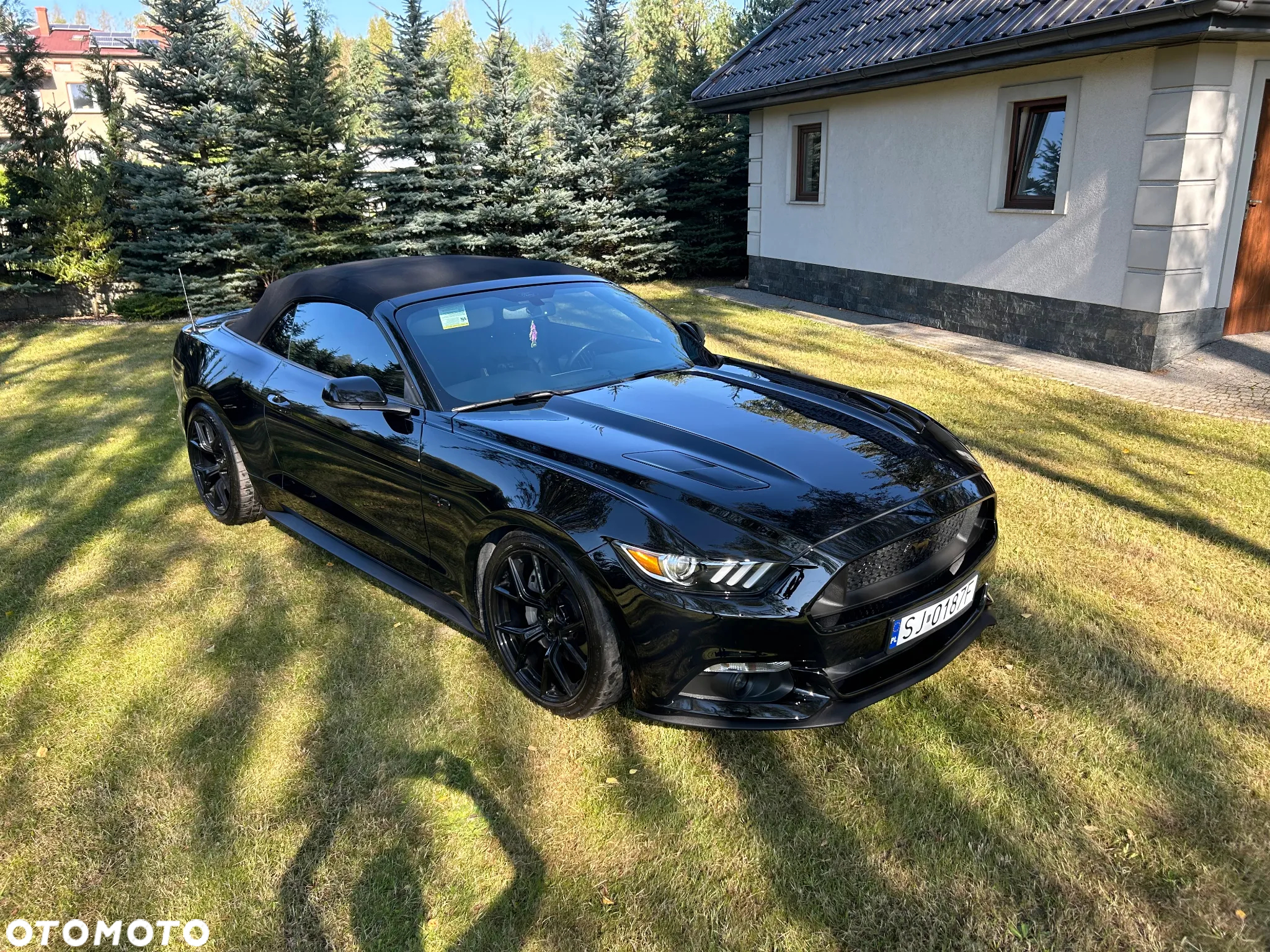 Ford Mustang - 6
