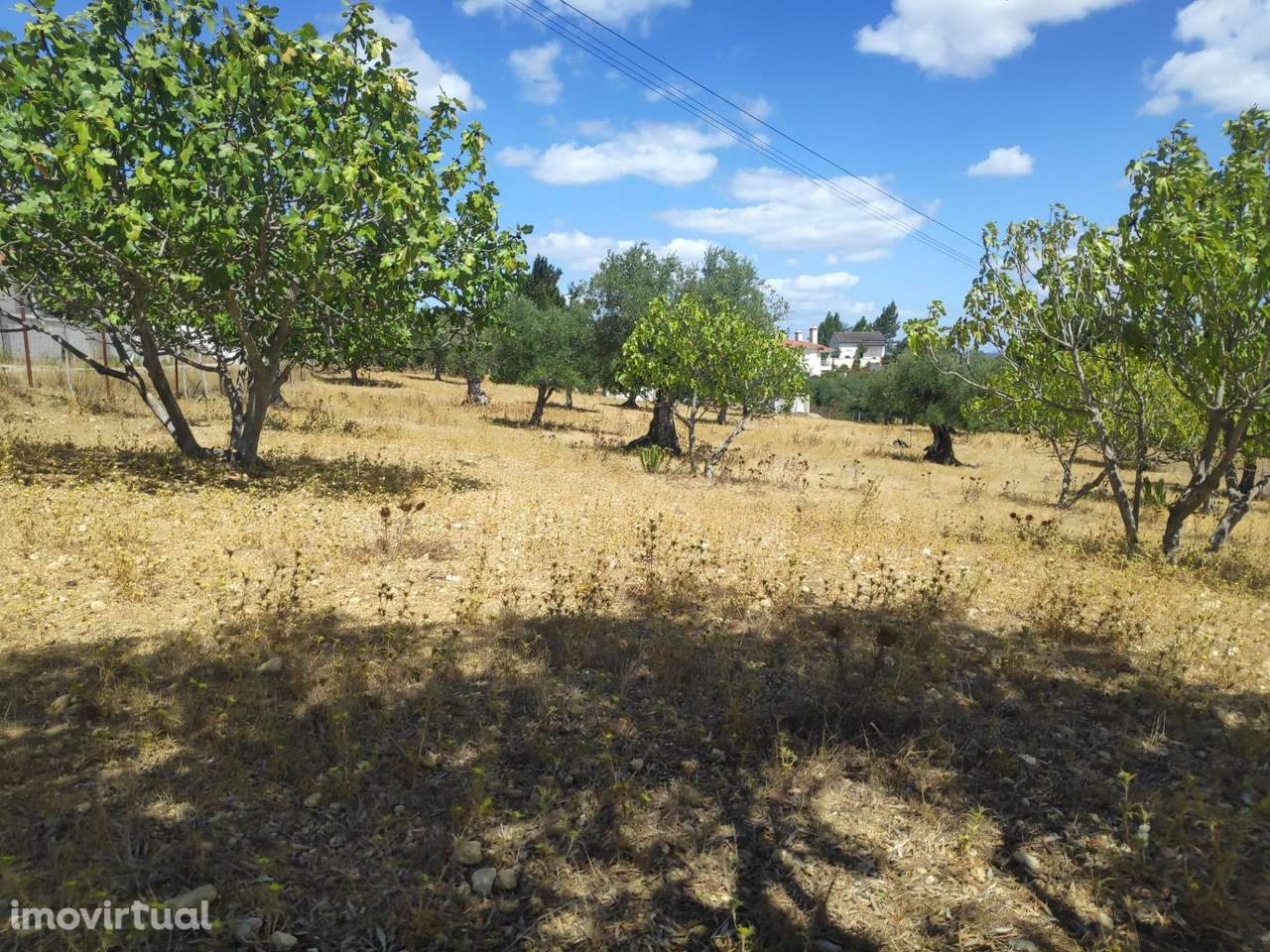 Terreno com cerca de 6000m2 em São Simão, Tomar. - Grande imagem: 5/8