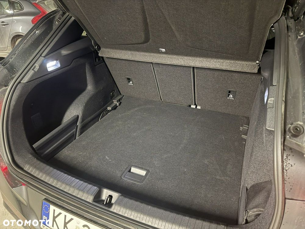 Cupra Terramar - 13