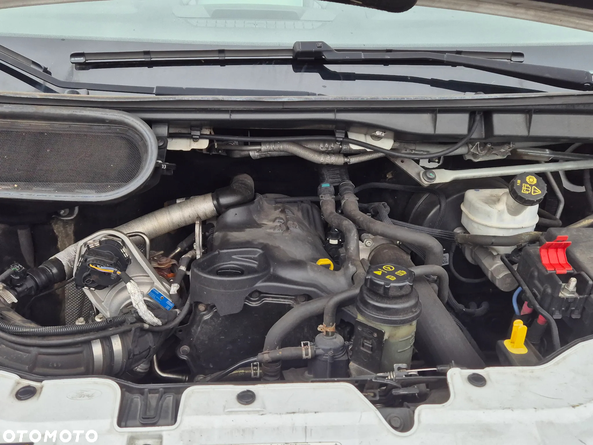 Ford TRANSIT - 17