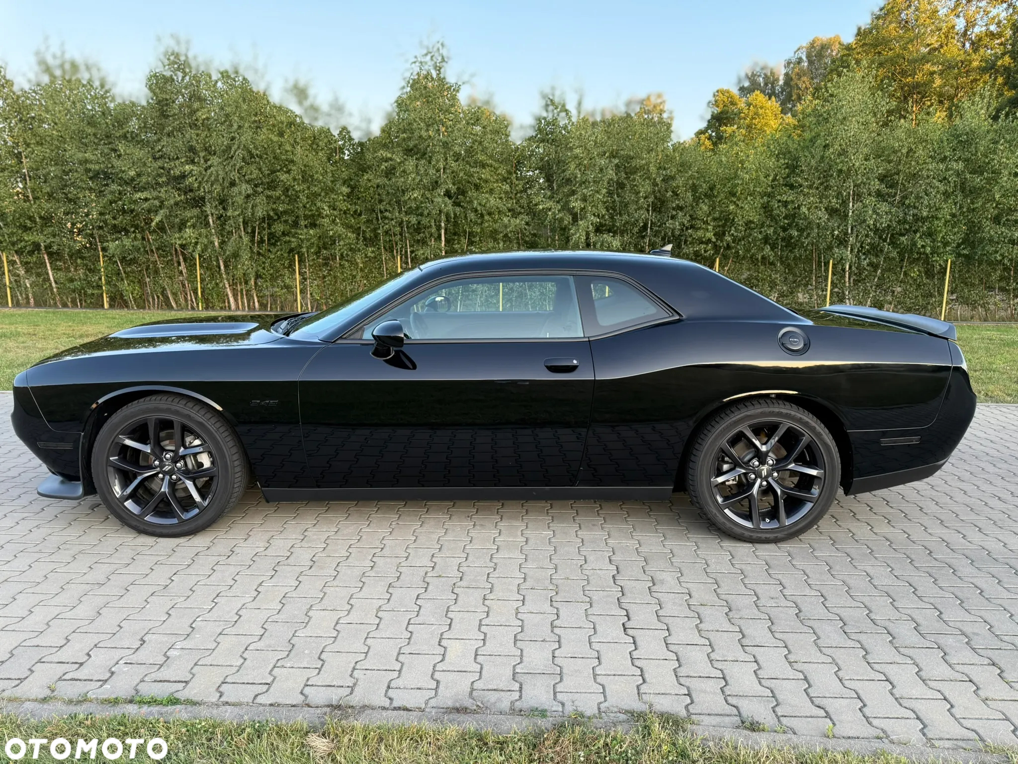Dodge Challenger - 11