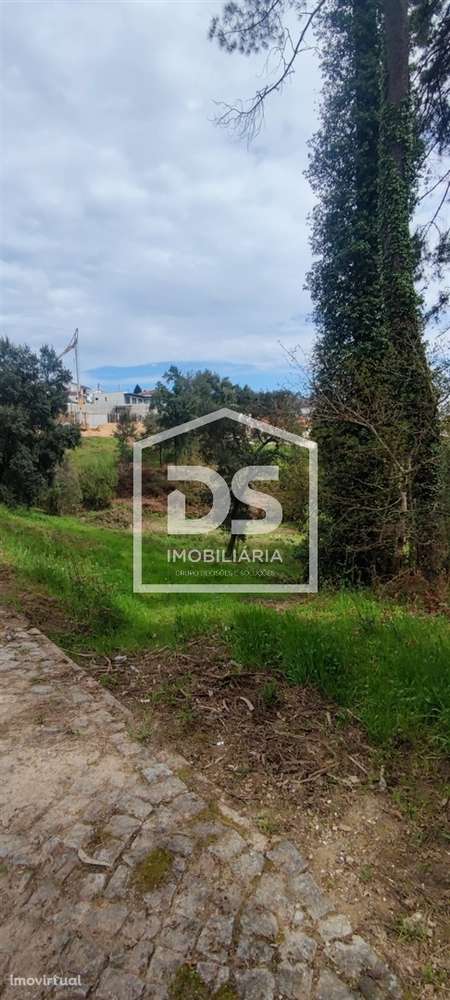 Terreno Rústico  Venda em Freixo de Cima e de Baixo,Amarante - Grande imagem: 3/10