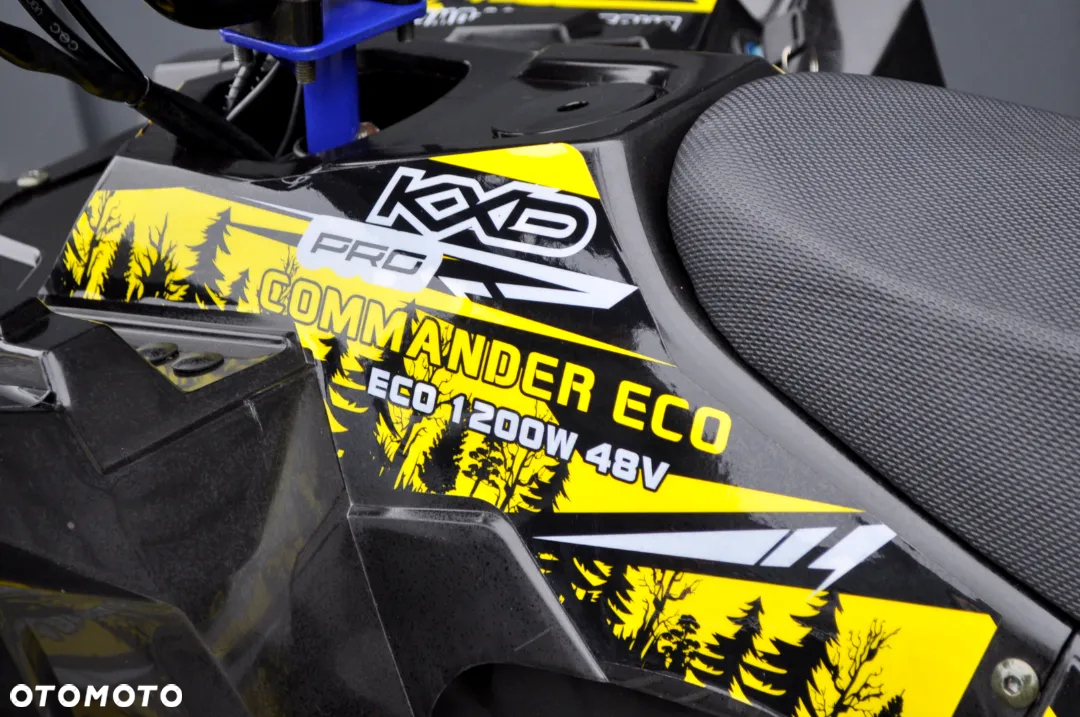 KXD Inny - 12