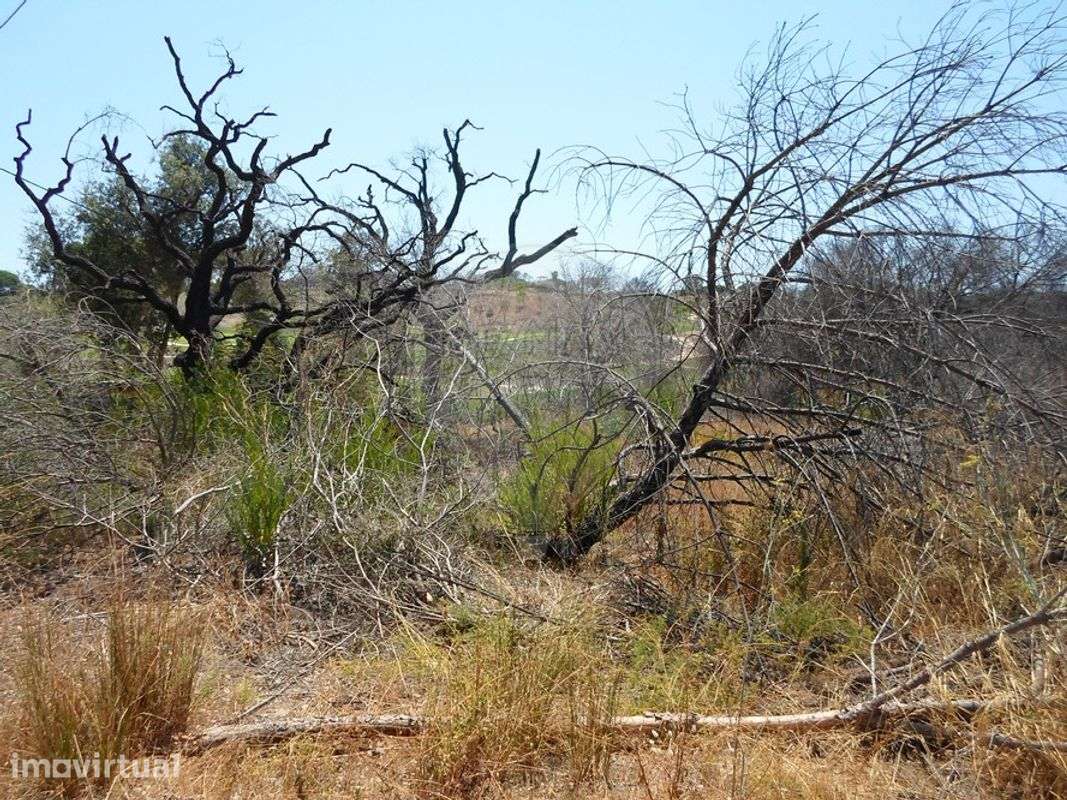 Terreno  para venda - Grande imagem: 2/4