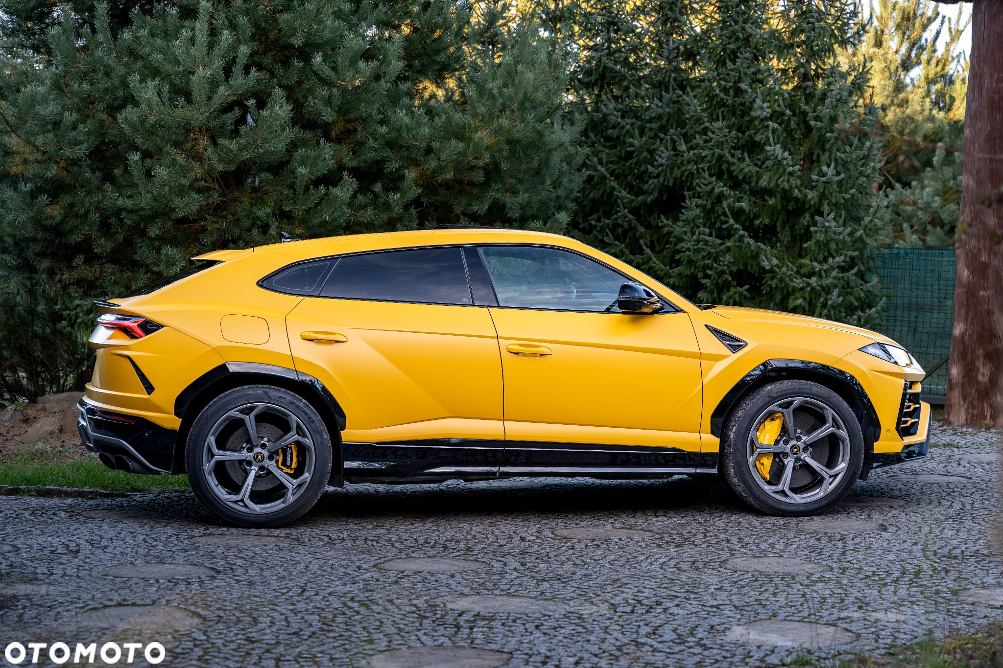 Lamborghini Urus Standard - 8