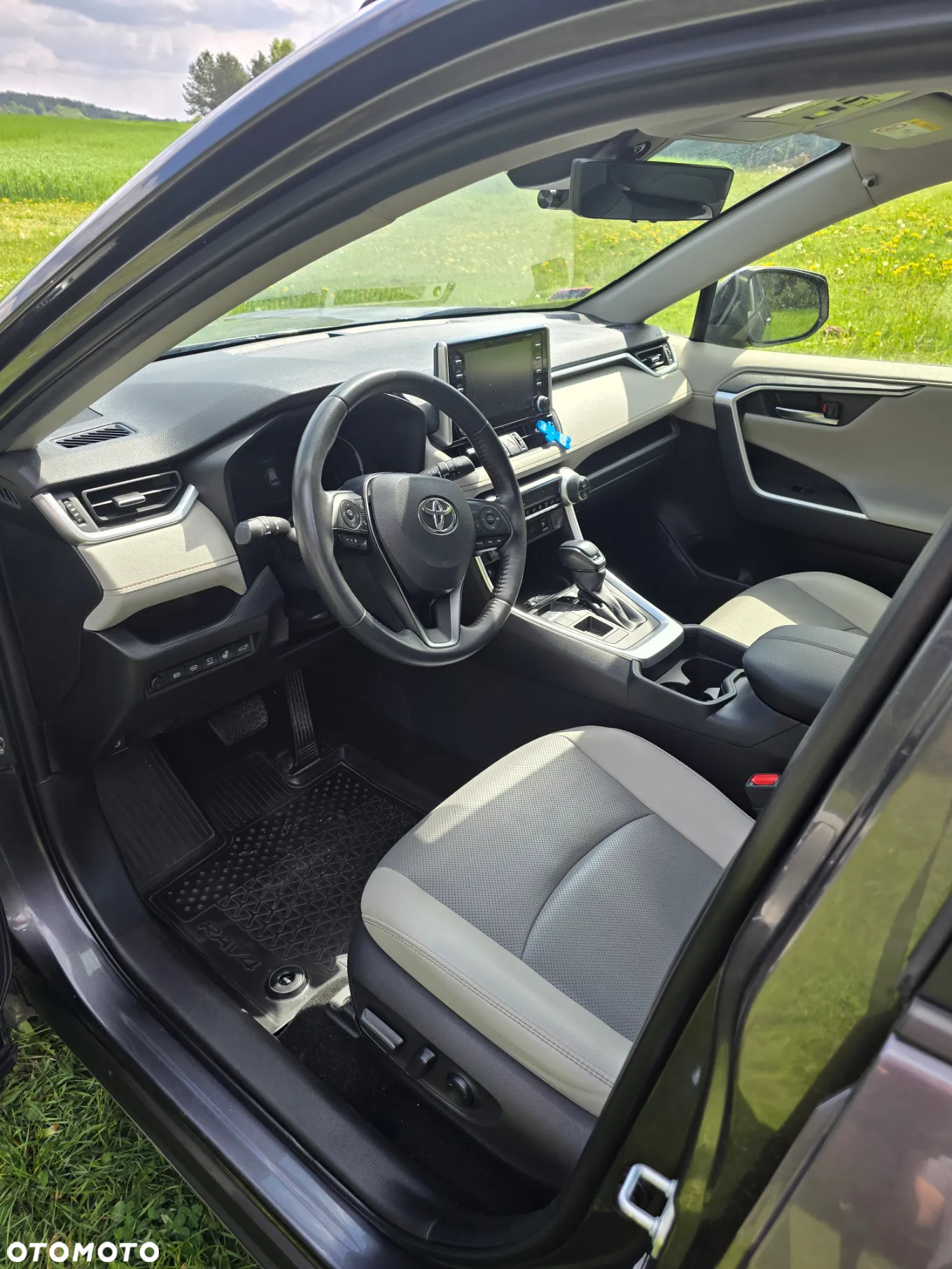 Toyota RAV4 2.5 Hybrid Executive 4x2 - 9