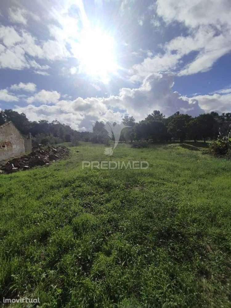 TERRENO NA CHAMUSCA - Grande imagem: 2/3