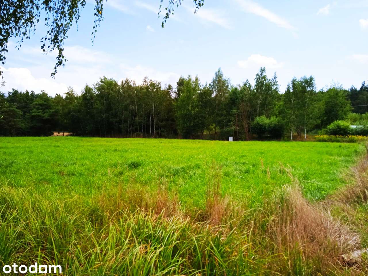 Działka budowlana, Prochowice 1200 m² , prąd, MPZP,  84 z/m2 - Pełny obrazek: 2/8