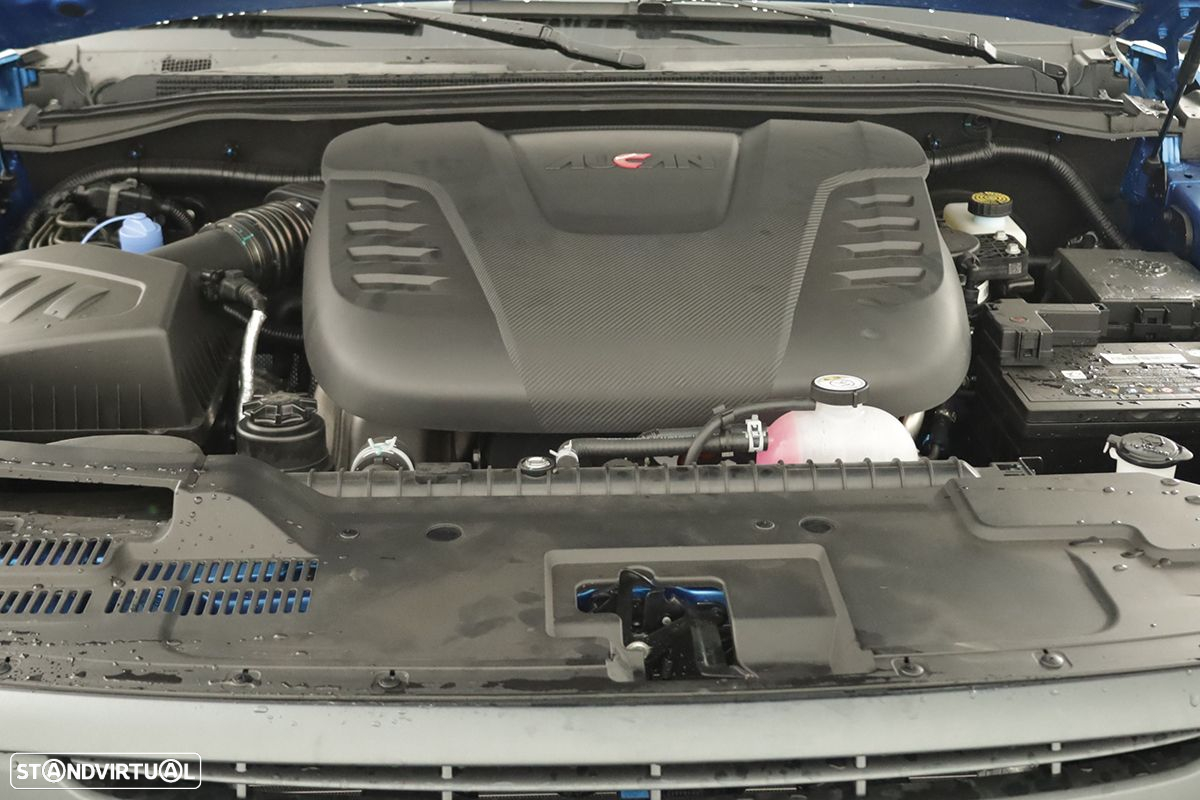 Foton Tunland - 25