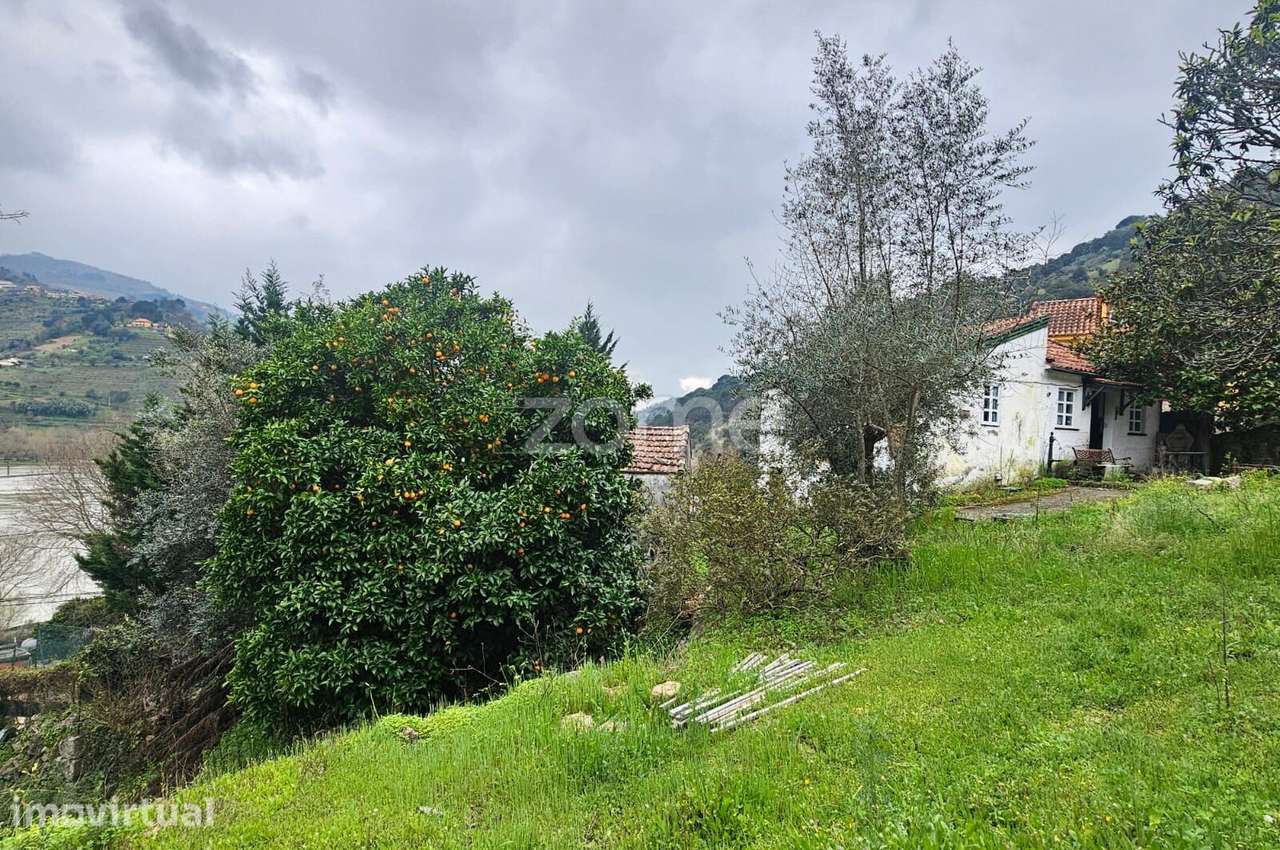 Quinta em Porto de Rei, Mesão Frio com vistas para o Douro. - Grande imagem: 4/16