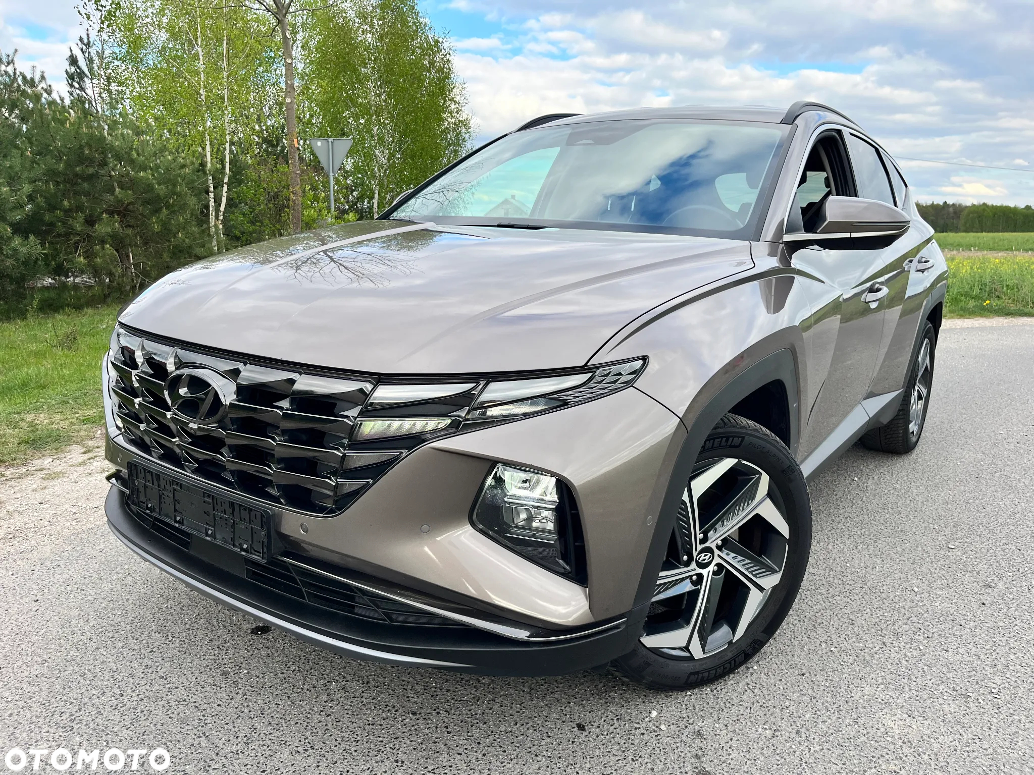 Hyundai Tucson 1.6 T-GDi HEV Executive 2WD - 2
