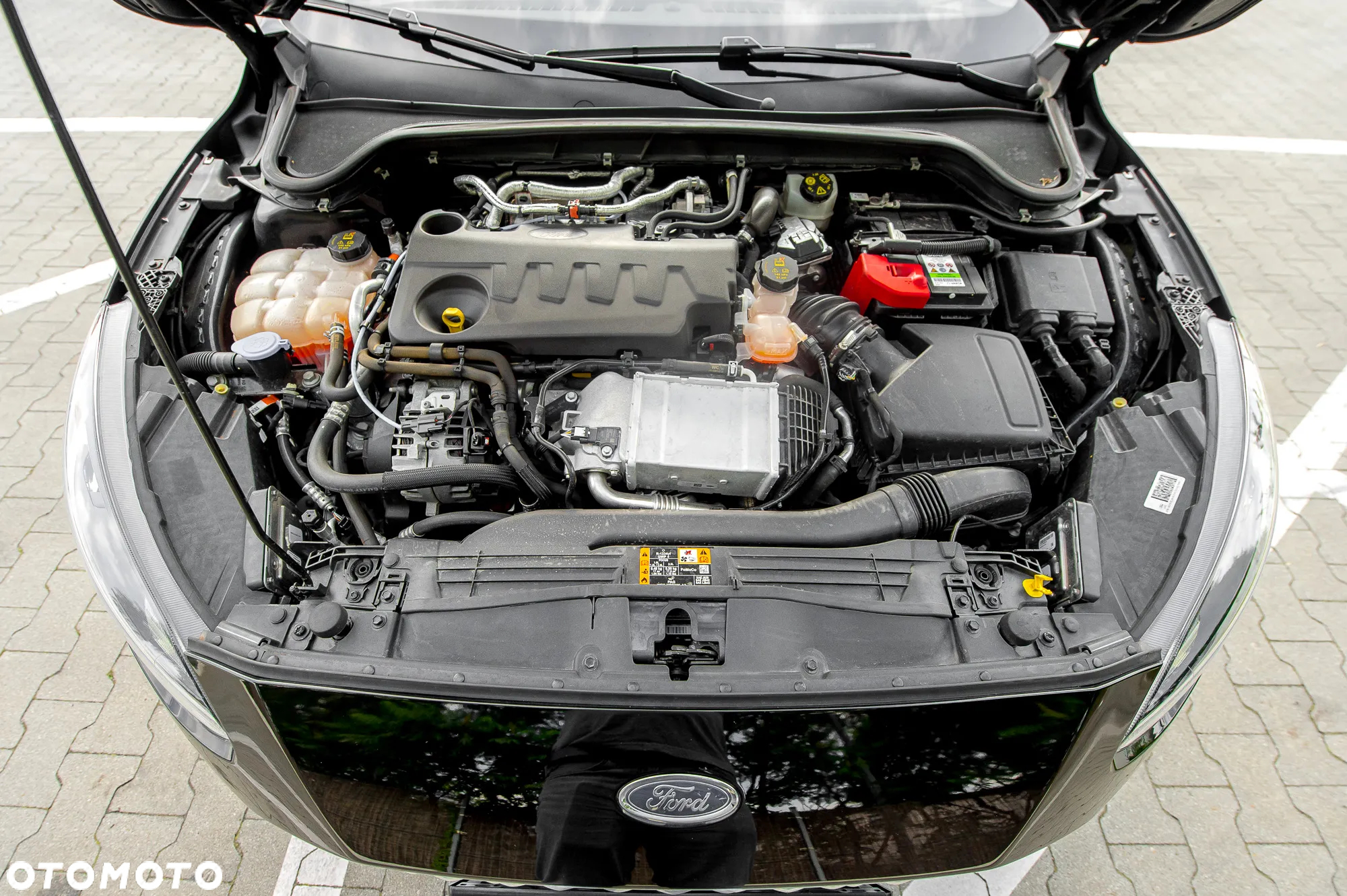 Ford Focus - 39
