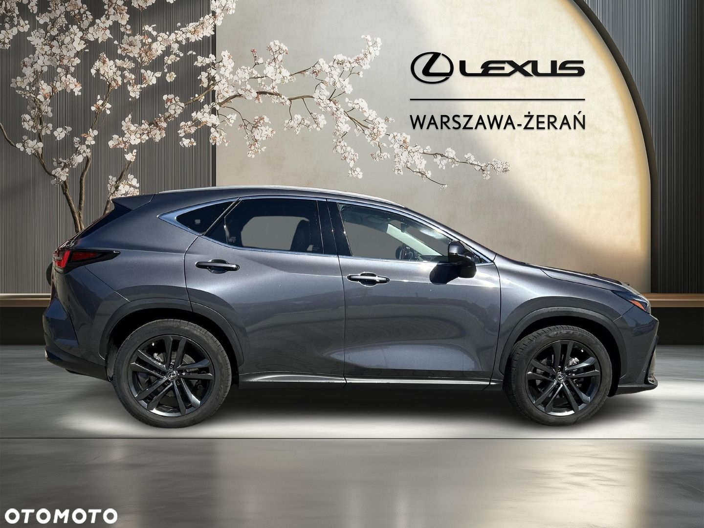Lexus NX - 7