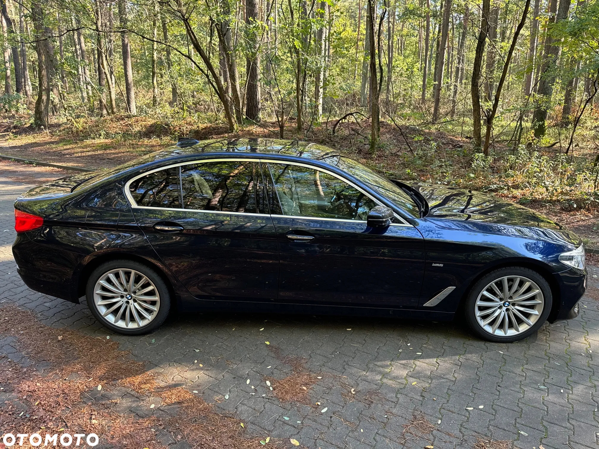 BMW Seria 5 520d xDrive Luxury Line - 5
