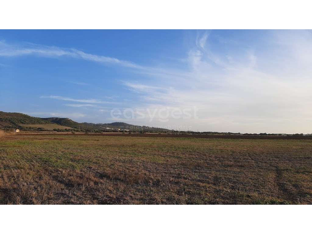 Terreno de Cultura Arvense de Nat Rustica em Almargem do Bispo - Grande imagem: 5/15