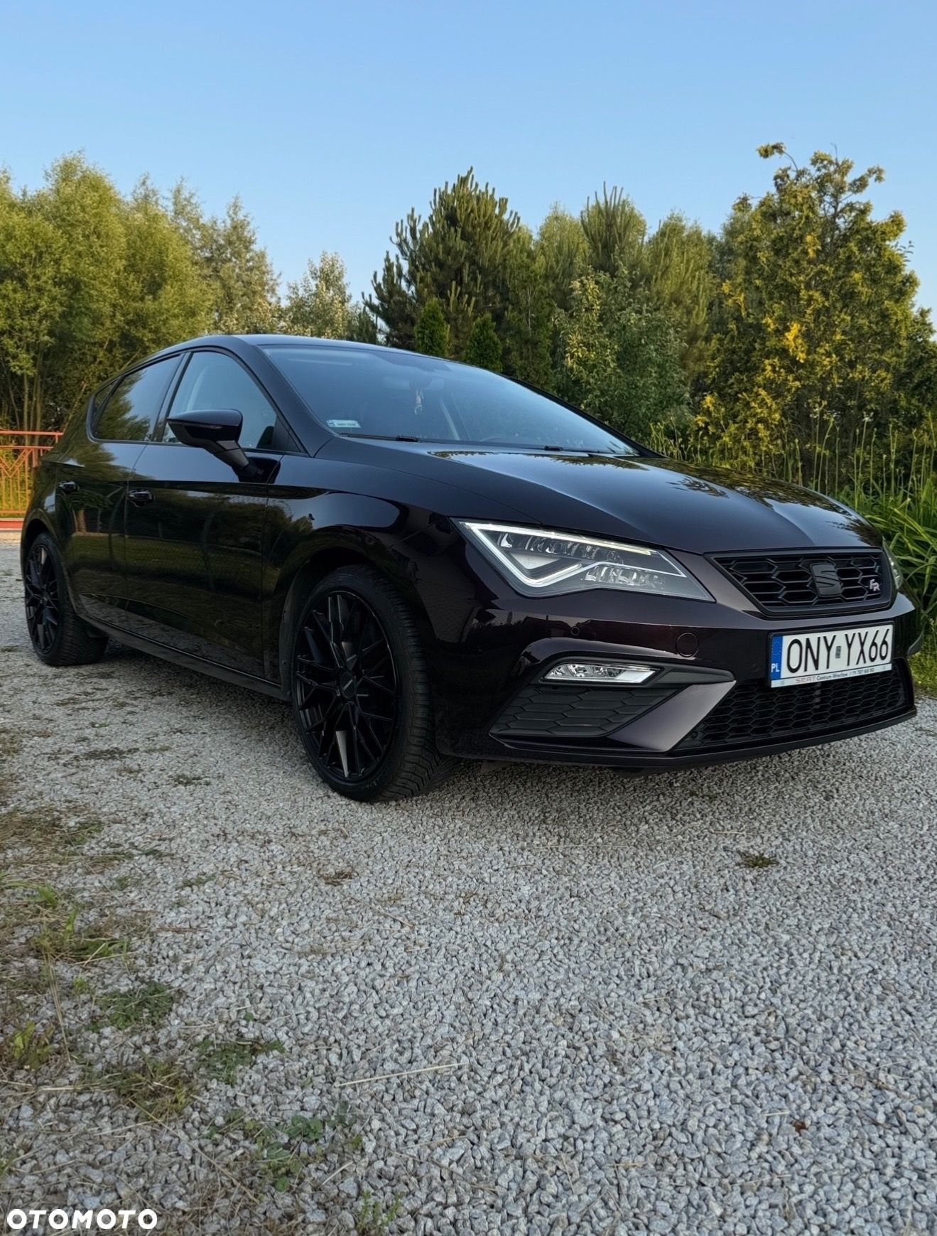 Seat Leon 1.4 TSI FR S&S - 1