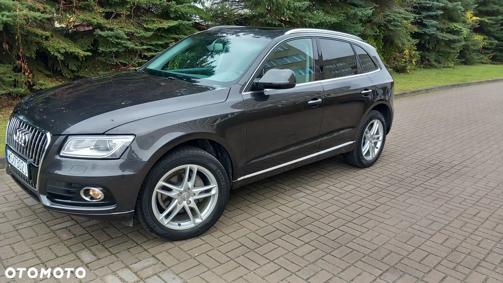 Audi Q5 - 5