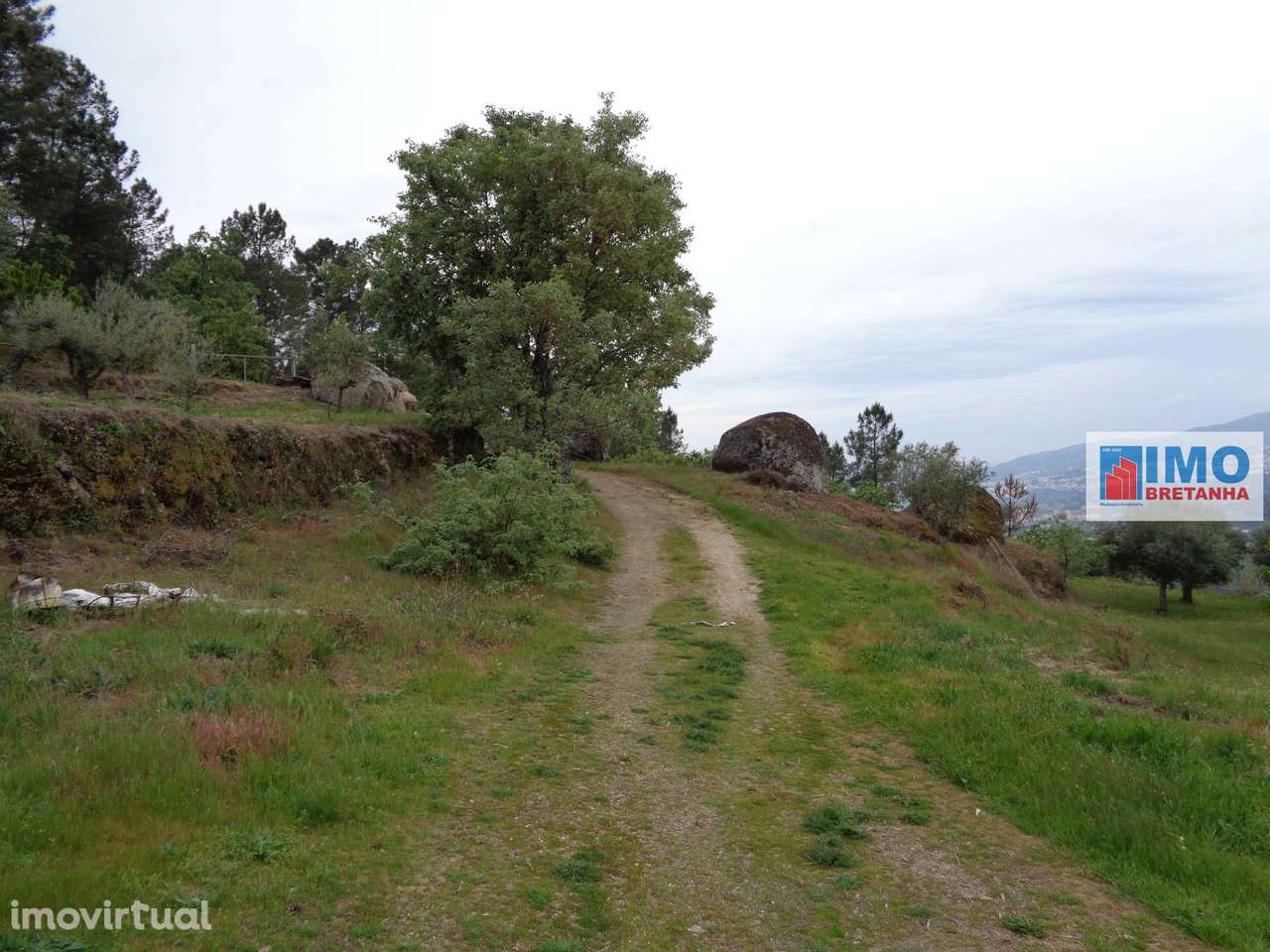 Moradia V1 - Srª do Carmo - Grande imagem: 5/9