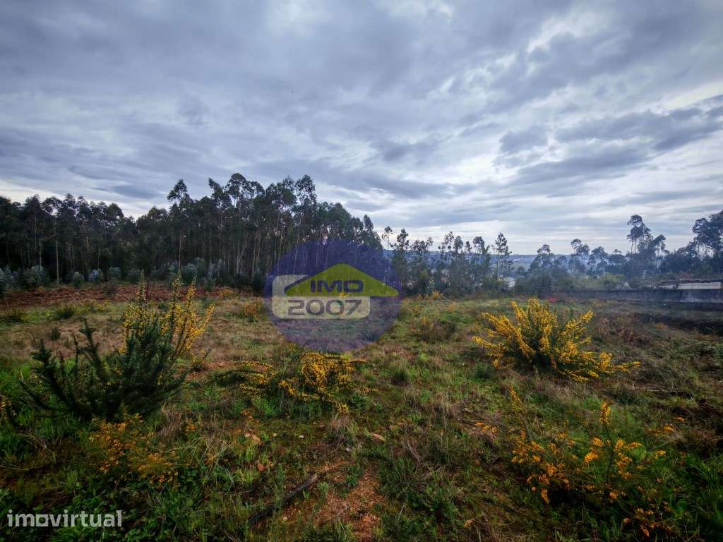 Terreno com viabilidade construção em altura - Grande imagem: 5/21