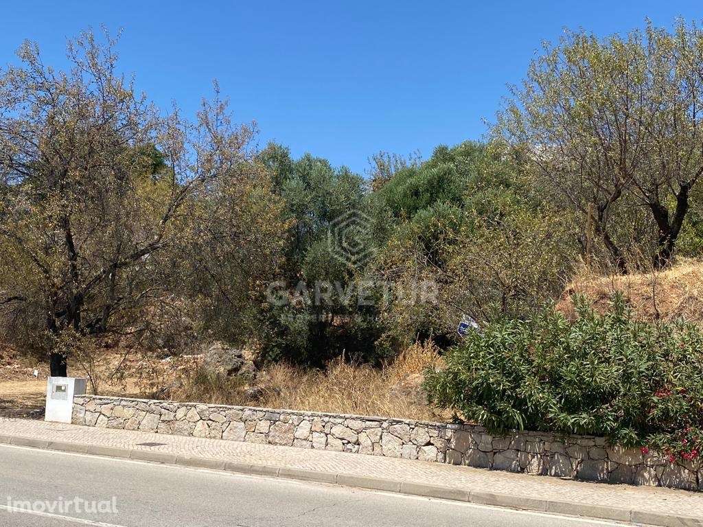 Terreno rústico em malha urbana, Salir, Algarve - Grande imagem: 5/13