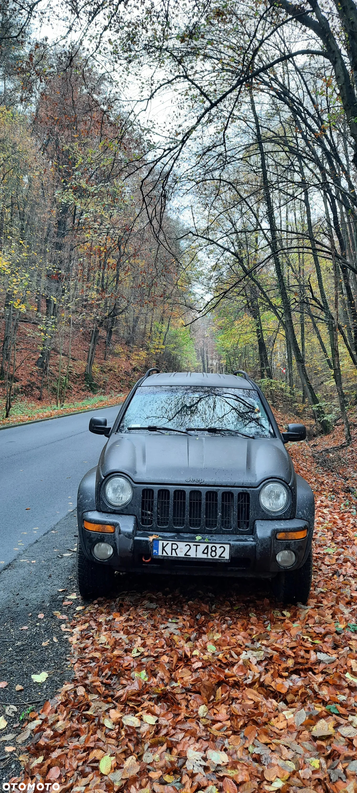 Jeep Liberty 3.7 4x4 - 2