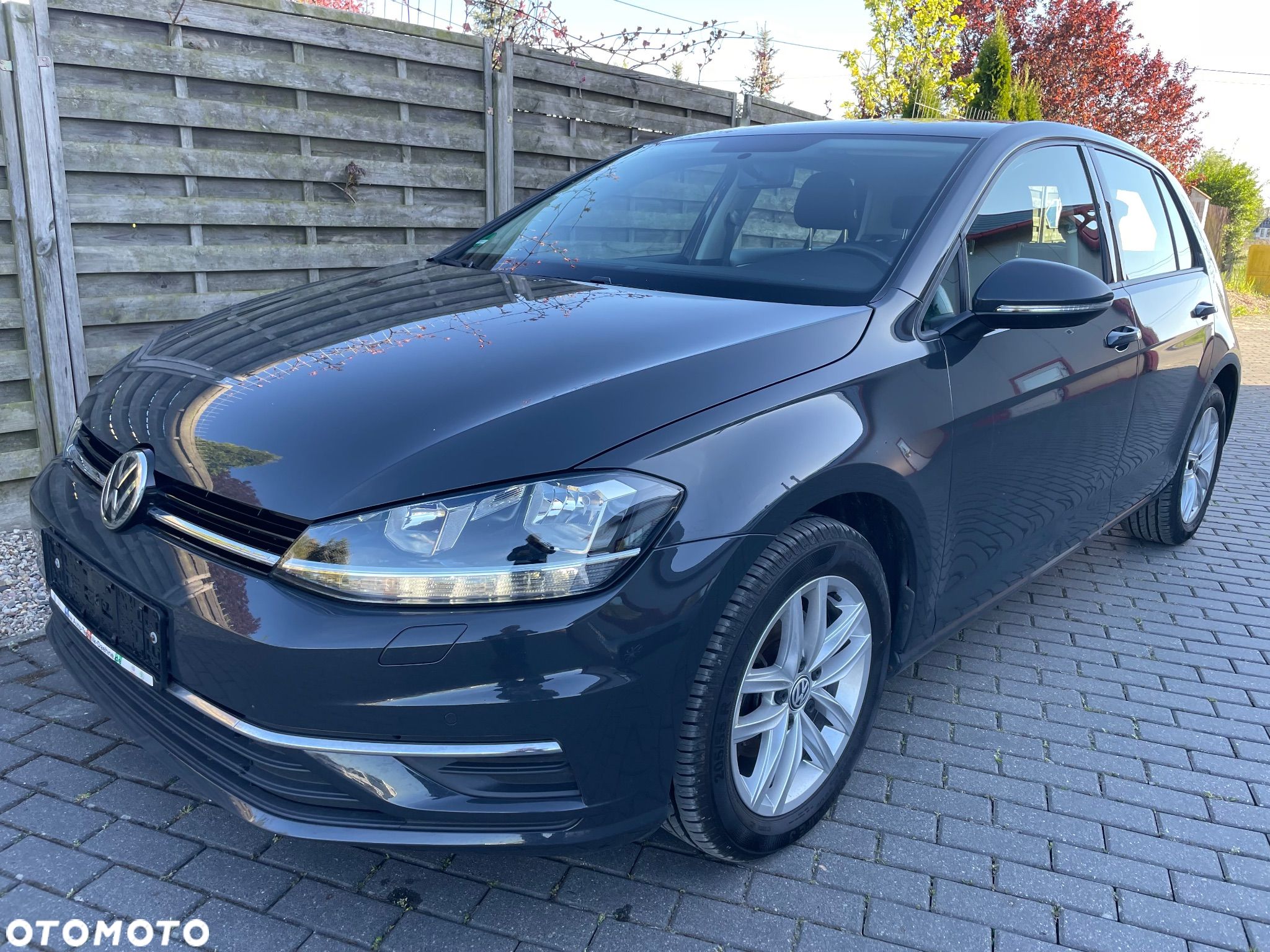 Volkswagen Golf - 1
