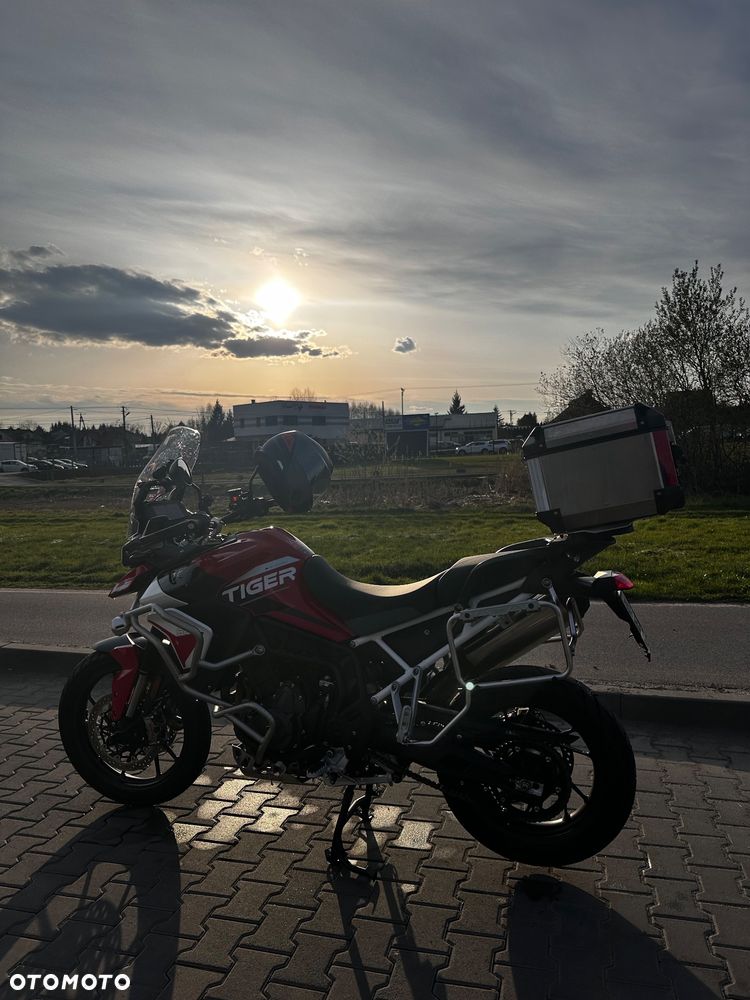 Triumph Tiger - 14