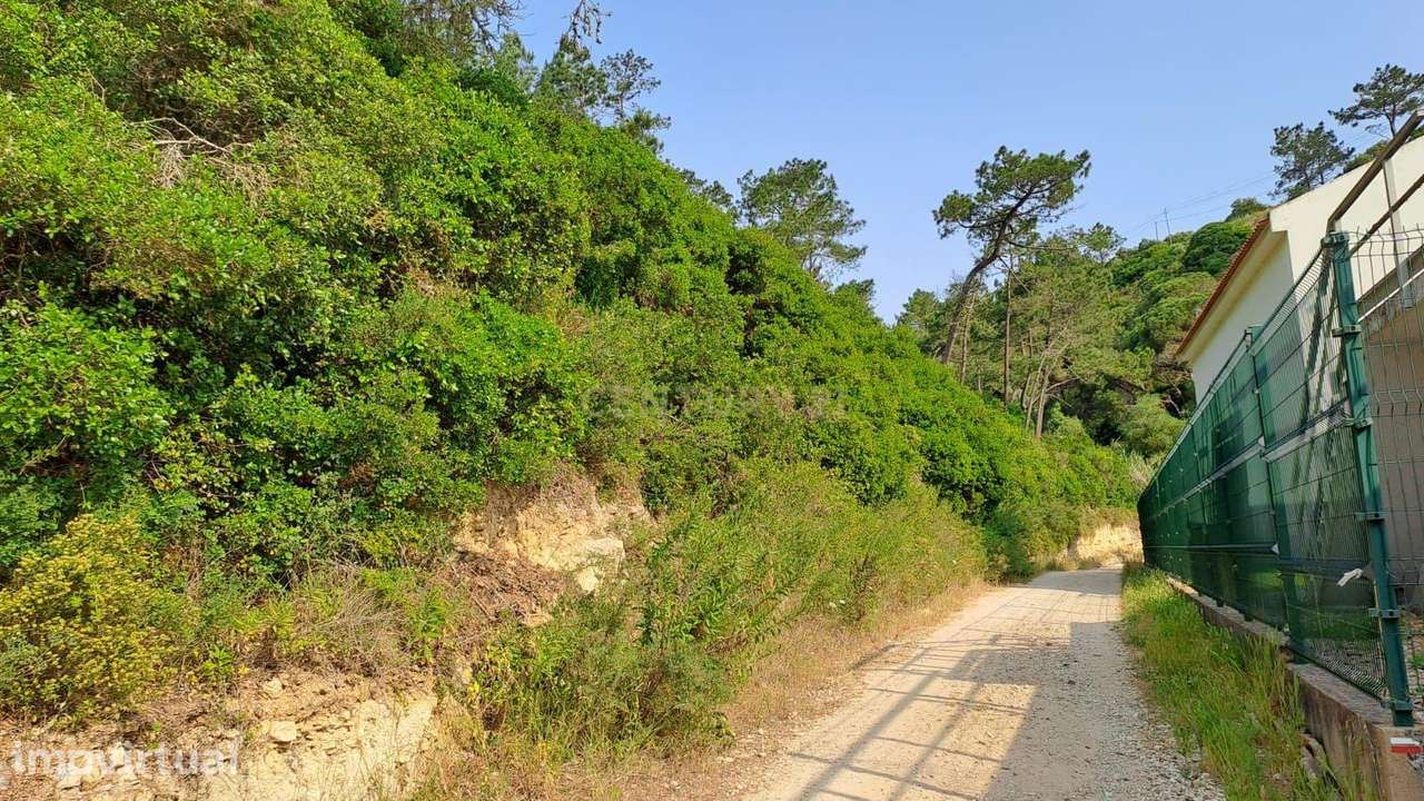 Terreno Rústico em Fonte Boa da Brincosa, Carvoeira -  Mafra - Grande imagem: 2/9