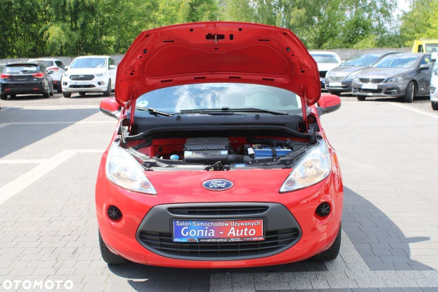Ford KA - 11