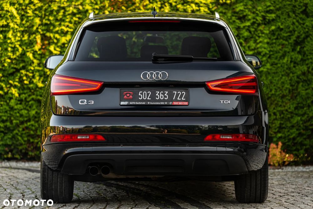 Audi Q3 - 17