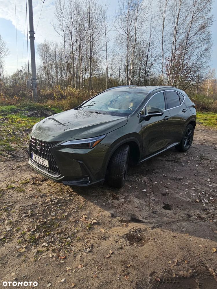 Lexus NX 450h+ Overtrail AWD - 5