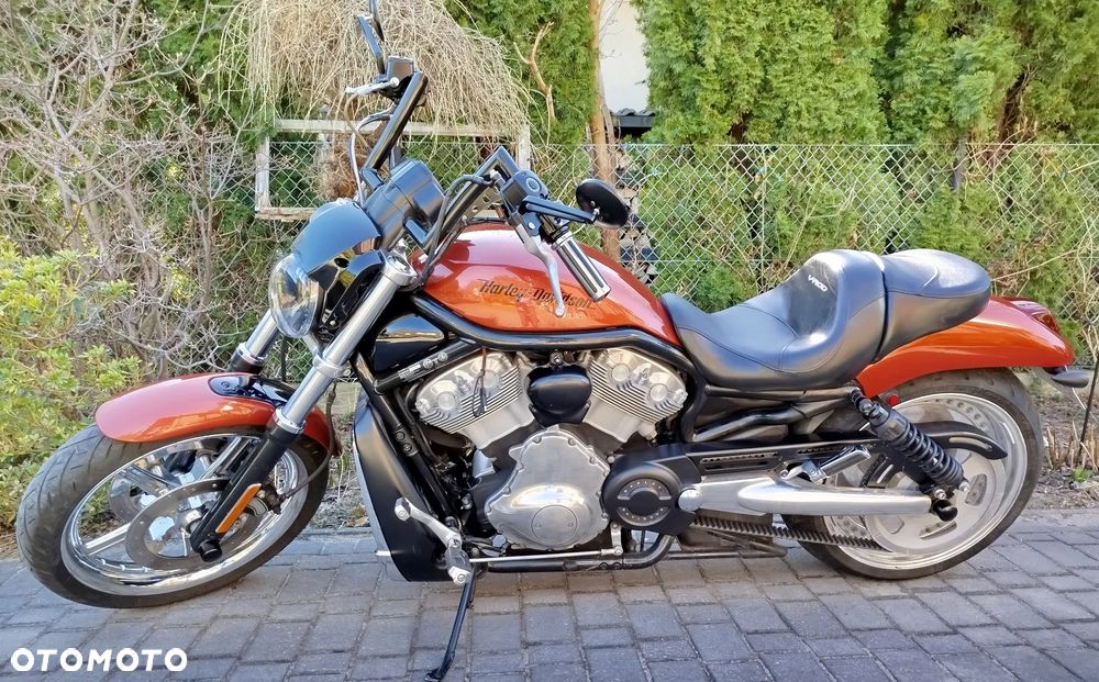 Harley-Davidson Softail V-Rod - 20