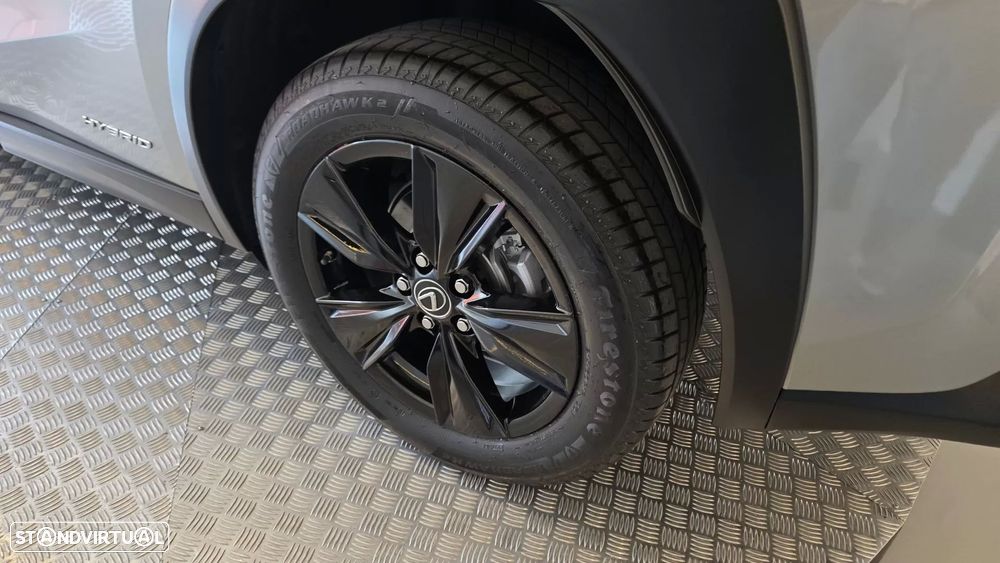 Lexus UX 250h Executive - 34