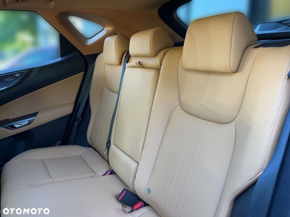 Lexus NX - 6