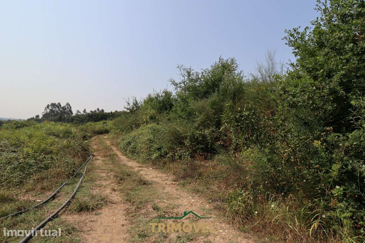 Terreno Para Construção  Venda em Vila de Cucujães,Oliveira de Azeméis - Grande imagem: 3/9