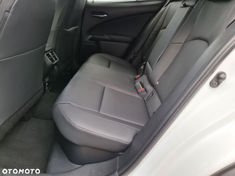 Lexus UX 250h GPF F Sport Design 2WD - 10