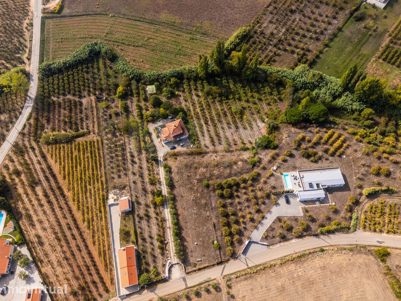 Quinta T4 C/ Garagem e mais de 13.000 m² terreno em Carvalhal, Bom... - Grande imagem: 5/36
